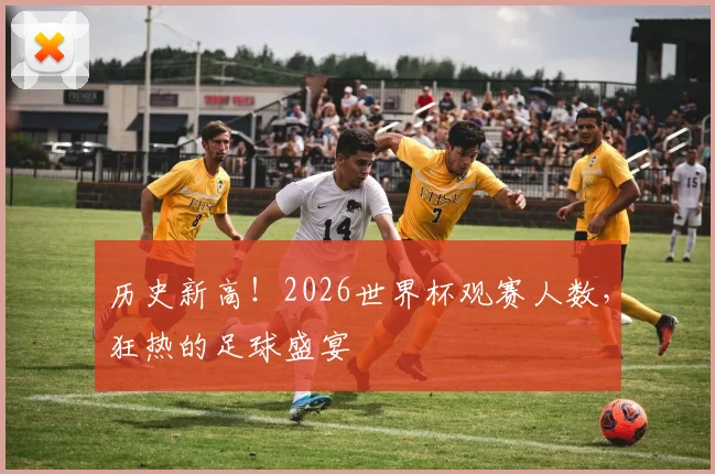 历史新高！2026世界杯观赛人数，狂热的足球盛宴